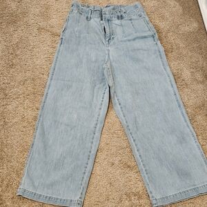 Madewell Light Blue Wide-Leg Jeans Size 29